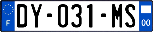 DY-031-MS