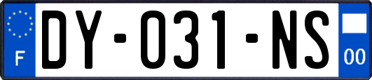 DY-031-NS