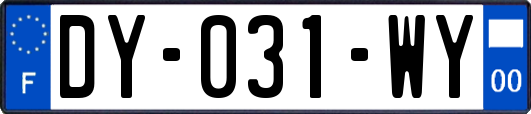 DY-031-WY