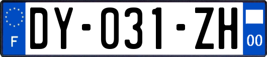 DY-031-ZH