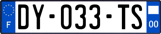 DY-033-TS