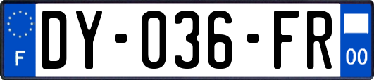 DY-036-FR