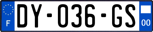 DY-036-GS