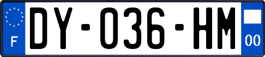 DY-036-HM