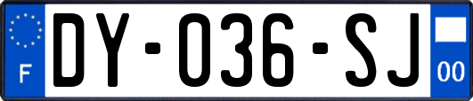 DY-036-SJ