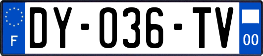 DY-036-TV