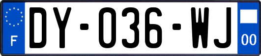 DY-036-WJ