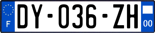 DY-036-ZH