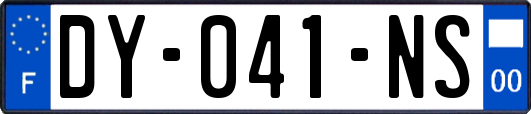 DY-041-NS