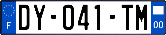 DY-041-TM