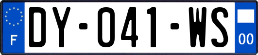 DY-041-WS