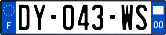 DY-043-WS