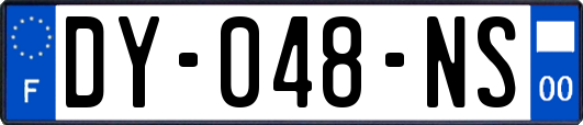 DY-048-NS