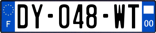 DY-048-WT