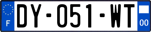 DY-051-WT