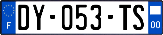 DY-053-TS