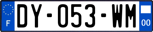 DY-053-WM