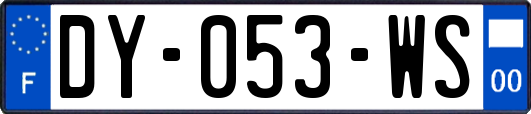 DY-053-WS