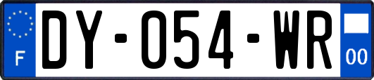 DY-054-WR