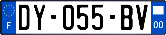 DY-055-BV