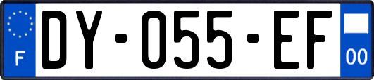 DY-055-EF