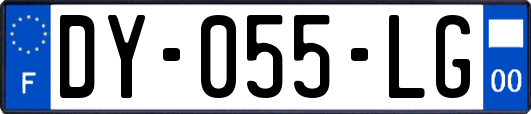 DY-055-LG