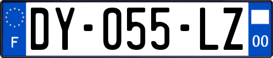 DY-055-LZ