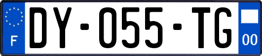 DY-055-TG