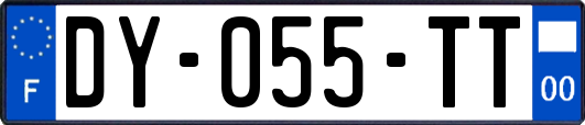 DY-055-TT