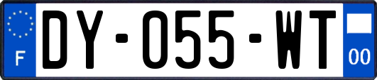 DY-055-WT