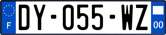 DY-055-WZ