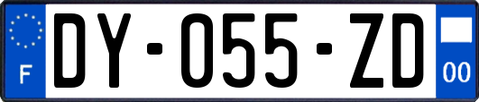 DY-055-ZD