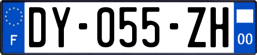 DY-055-ZH