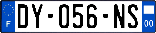 DY-056-NS