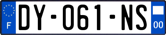 DY-061-NS