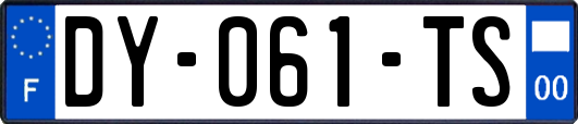 DY-061-TS