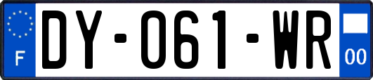 DY-061-WR