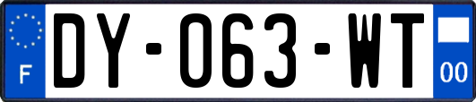 DY-063-WT