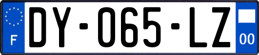 DY-065-LZ