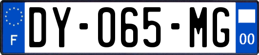 DY-065-MG