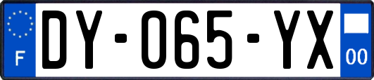 DY-065-YX