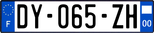 DY-065-ZH