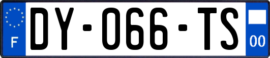 DY-066-TS