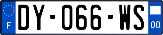 DY-066-WS