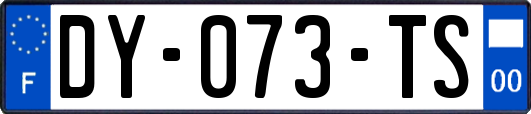 DY-073-TS