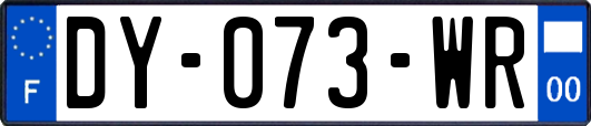 DY-073-WR