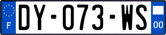 DY-073-WS