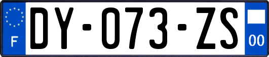 DY-073-ZS