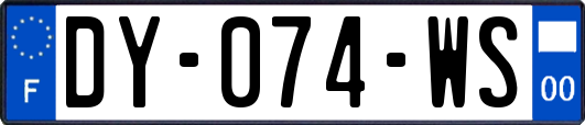 DY-074-WS