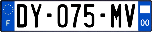 DY-075-MV